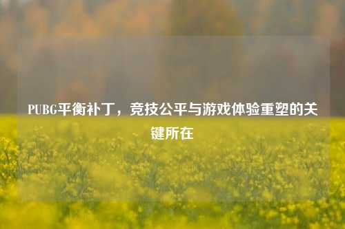 PUBG平衡补丁，竞技公平与游戏体验重塑的关键所在