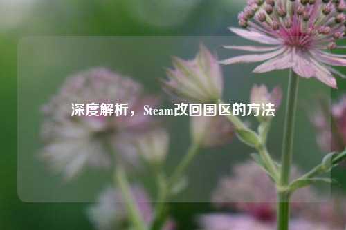 深度解析，Steam改回国区的 *** 