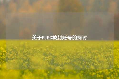 关于PUBG被封账号的探讨