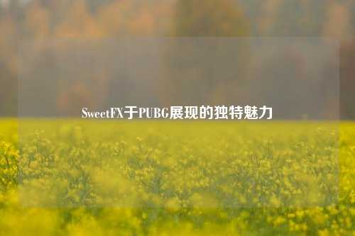 SweetFX于PUBG展现的独特魅力