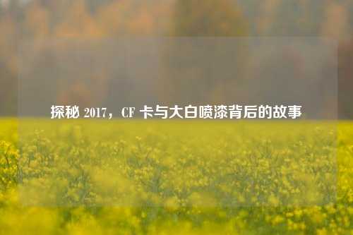 探秘 2017，CF 卡与大白喷漆背后的故事