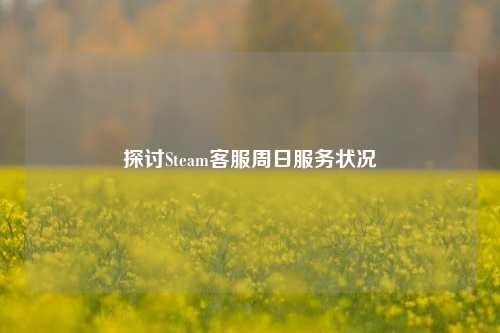 探讨Steam *** 周日服务状况