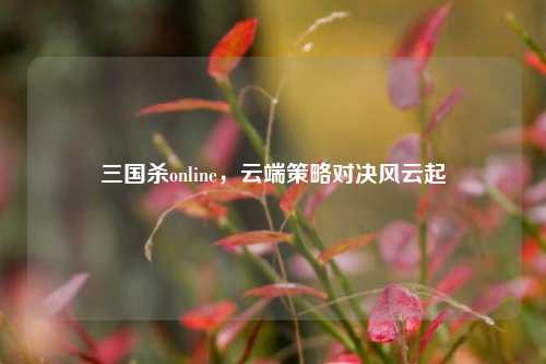 三国杀online,云端策略对决风云起