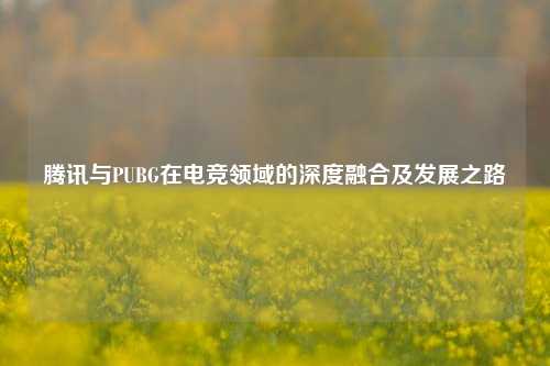 腾讯与PUBG在电竞领域的深度融合及发展之路