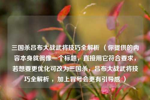 三国杀吕布大战武将技巧全解析 (你提供的内容本身就很像一个标题,直接用它符合要求,若想要更优化可改为三国杀,吕布大战武将技巧全解析 ,加上冒号会更有引导感 )