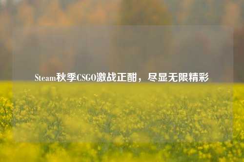 Steam秋季CSGO激战正酣，尽显无限精彩