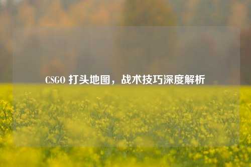 CSGO 打头地图，战术技巧深度解析