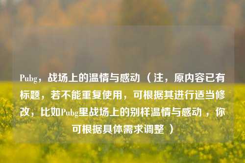 Pubg，战场上的温情与感动 （注，原内容已有标题，若不能重复使用，可根据其进行适当修改，比如Pubg里战场上的别样温情与感动 ，你可根据具体需求调整 ）