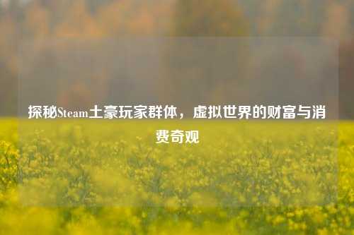 探秘Steam土豪玩家群体，虚拟世界的财富与消费奇观