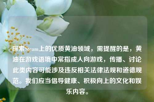 探索Steam上的优质黄油领域，需提醒的是，黄油在游戏语境中常指成人向游戏，传播、讨论此类内容可能涉及违反相关法律法规和道德规范。我们应当倡导健康、积极向上的文化和娱乐内容。