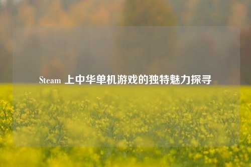 Steam 上中华单机游戏的独特魅力探寻