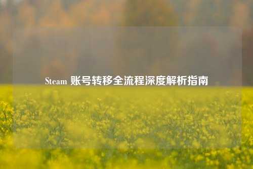 Steam 账号转移全流程深度解析指南