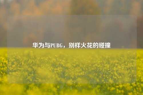 华为与PUBG，别样火花的碰撞