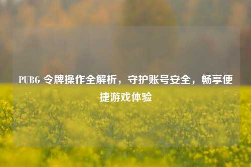 PUBG 令牌操作全解析，守护账号安全，畅享便捷游戏体验