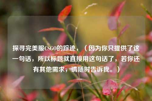 探寻完美服CSGO的踪迹，（因为你只提供了这一句话，所以标题就直接用这句话了，若你还有其他需求，请随时告诉我。）