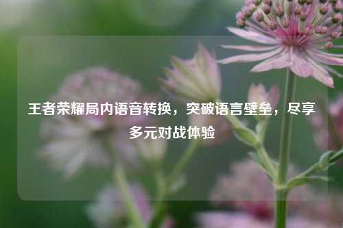 王者荣耀局内语音转换，突破语言壁垒，尽享多元对战体验