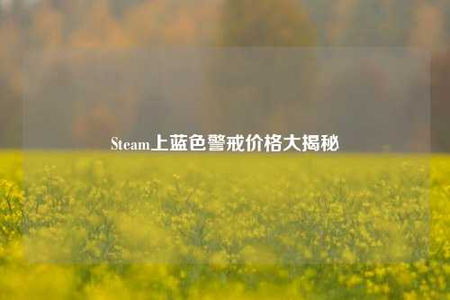 Steam上蓝色警戒价格大揭秘