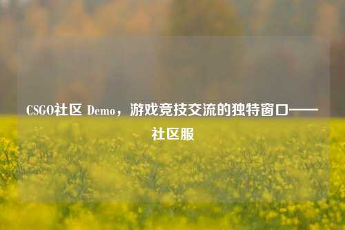 CSGO社区 Demo，游戏竞技交流的独特窗口——社区服