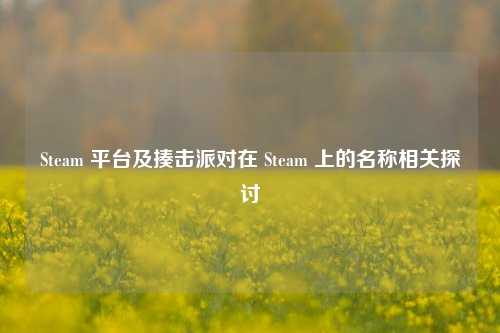 Steam 平台及揍击派对在 Steam 上的名称相关探讨