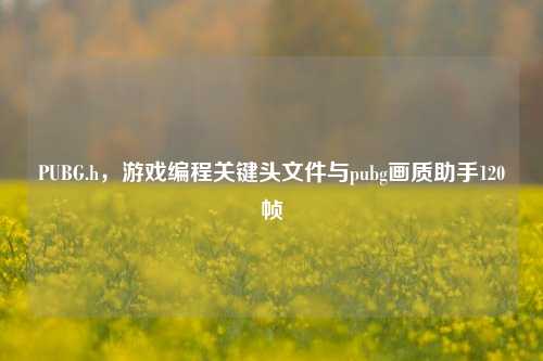 PUBG.h，游戏编程关键头文件与pubg画质助手120帧