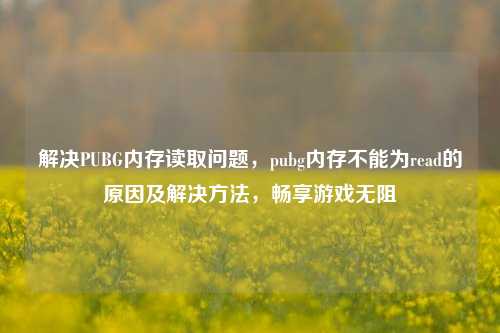 解决PUBG内存读取问题，pubg内存不能为read的原因及解决 *** ，畅享游戏无阻