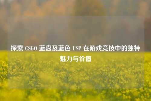 探索 CSGO 蓝盘及蓝色 USP 在游戏竞技中的独特魅力与价值