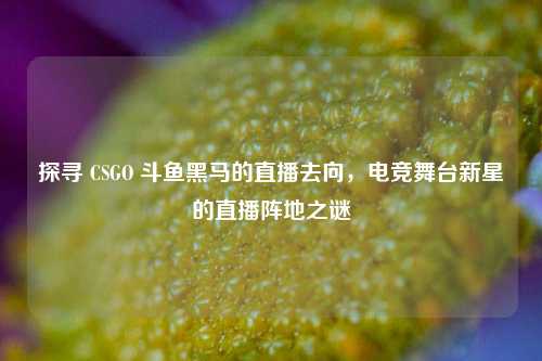 探寻 CSGO 斗鱼黑马的直播去向，电竞舞台新星的直播阵地之谜