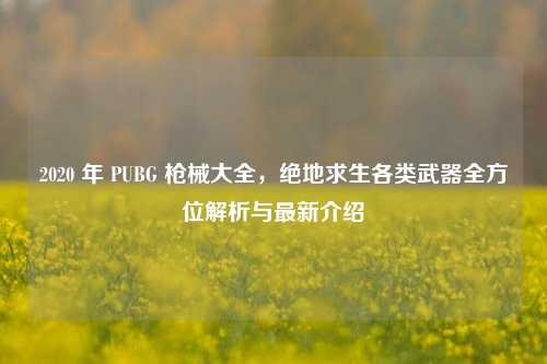 2020 年 PUBG 枪械大全，绝地求生各类武器全方位解析与最新介绍