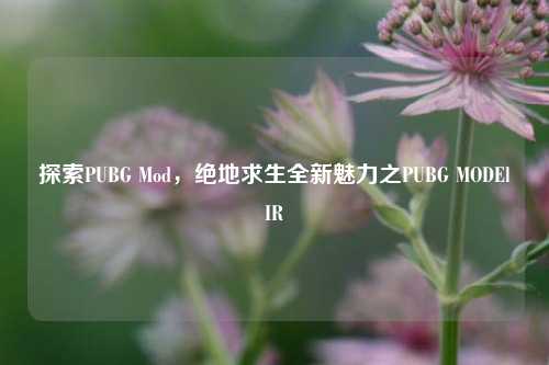 探索PUBG Mod，绝地求生全新魅力之PUBG MODElIR