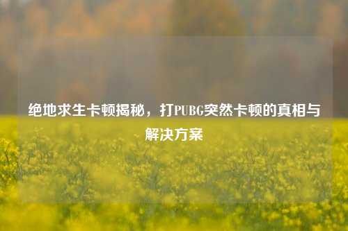 绝地求生卡顿揭秘，打PUBG突然卡顿的真相与解决方案