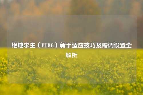 绝地求生（PUBG）新手适应技巧及需调设置全解析