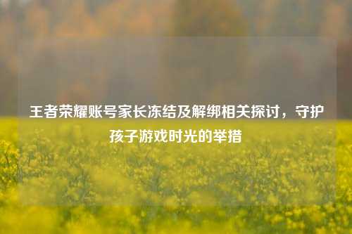 王者荣耀账号家长冻结及解绑相关探讨，守护孩子游戏时光的举措