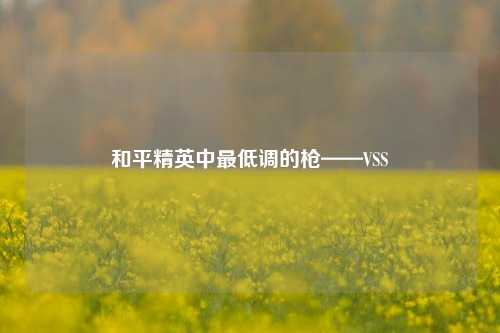 和平精英中更低调的枪——VSS