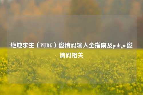 绝地求生（PUBG）邀请码输入全指南及pubgm邀请码相关