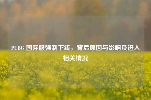 PUBG 国际服强制下线，背后原因与影响及进入相关情况