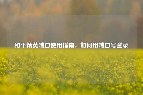 和平精英端口使用指南，如何用端口号登录
