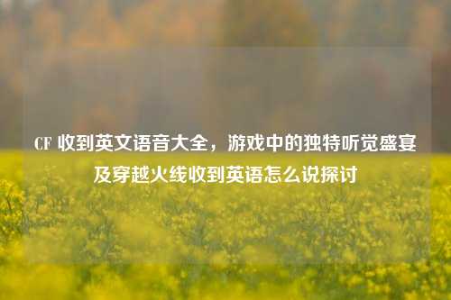 CF 收到英文语音大全，游戏中的独特听觉盛宴及穿越火线收到英语怎么说探讨
