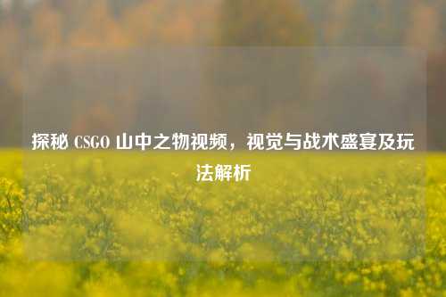 探秘 CSGO 山中之物视频，视觉与战术盛宴及玩法解析
