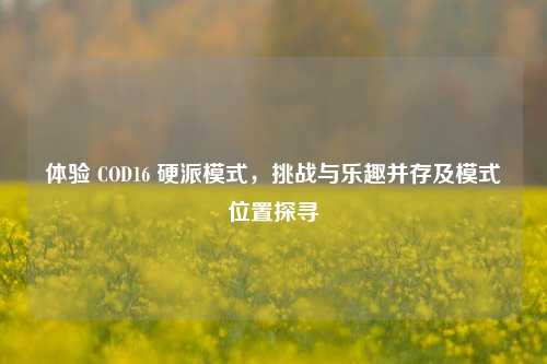 体验 COD16 硬派模式，挑战与乐趣并存及模式位置探寻