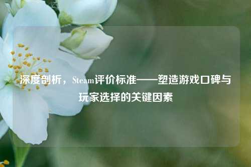 深度剖析，Steam评价标准——塑造游戏口碑与玩家选择的关键因素