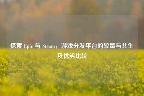 探索 Epic 与 Steam，游戏分发平台的较量与共生及优劣比较
