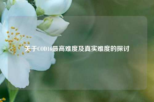 关于COD16最高难度及真实难度的探讨