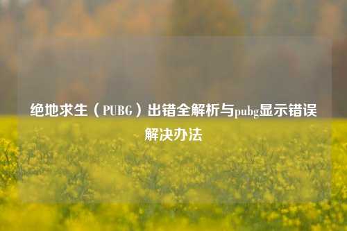 绝地求生(PUBG)出错全解析与pubg显示错误解决办法