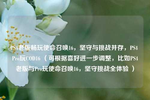 PS4老版畅玩使命召唤16，坚守与挑战并存，PS4 Pro玩COD16 （可根据喜好进一步调整，比如PS4老版与Pro玩使命召唤16，坚守挑战全体验 ）