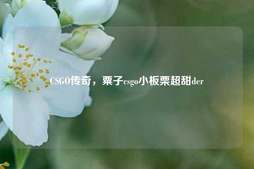 CSGO传奇,粟子csgo小板栗超甜der
