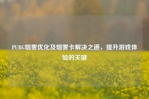 PUBG烟雾优化及烟雾卡解决之道,提升游戏体验的关键
