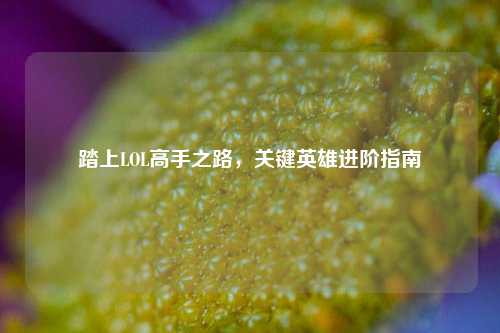踏上LOL高手之路,关键英雄进阶指南