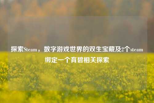 探索Steam,数字游戏世界的双生宝藏及2个steam绑定一个育碧相关探索