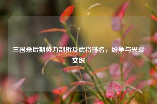 三国杀后期势力剖析及武将排名，纷争与兴衰交织