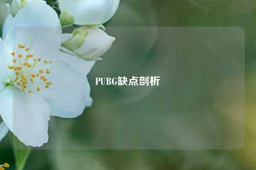 PUBG缺点剖析